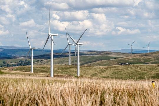 Windturbines in een korenveld